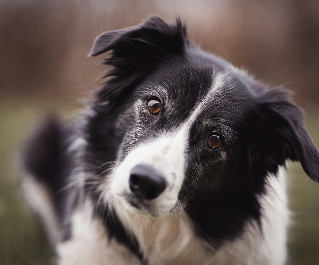 Voorbeeld personage 2