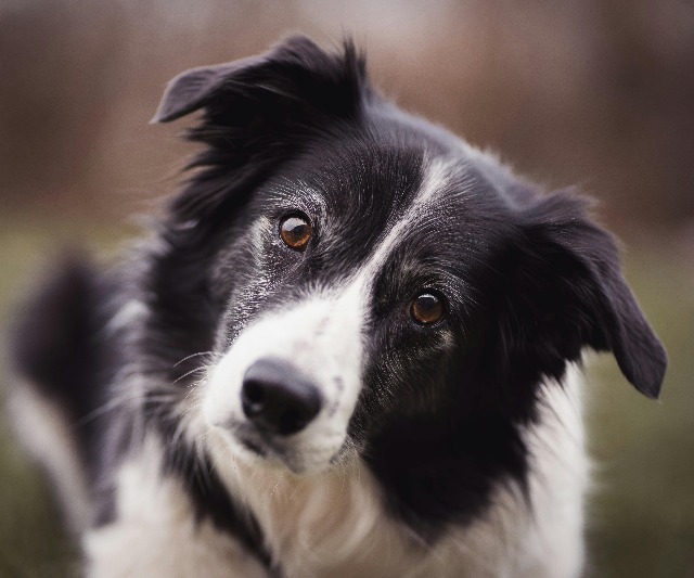 Voorbeeld personage 5